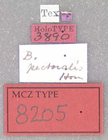 Media type: image;   Entomology 8205 Aspect: labels